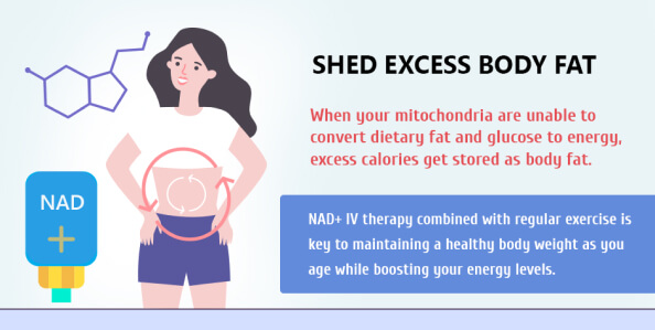 Shed excess body fat