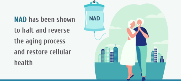 What is NAD and How Does It Fight Aging?